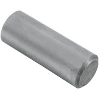 Oljetrycksventilplunger EASTERN MOTORCYCLE PARTS