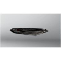 Optional Heat Shield (Carbon) F900R / XR 20- Akrapovic