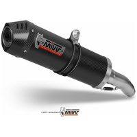 Oval Carbon Cap Double Slip-On Carbon Kawasaki Z1000 Mivv
