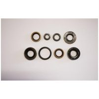 Packbox 16X24X4 Sachs