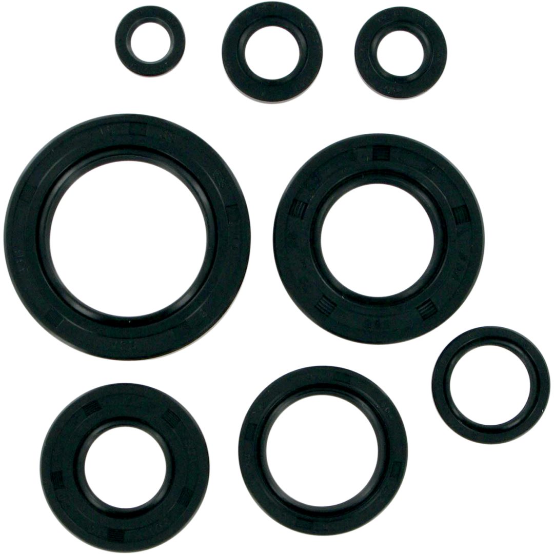 Packboxkit Motor Moose Racing MTR SEALS ATC/TRX 250