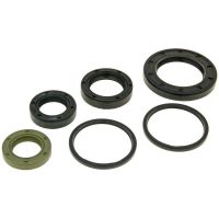 Packboxsats Motor - Piaggio 50-100 4-Takt