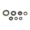 Packning Kit Motor Olja Athena Tätningar – miniatyr 1