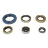 Packning Kit Motor Olja Athena Tätningar – miniatyr 1
