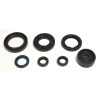 Packning Kit Motor Olja Athena Tätningar – miniatyr 1