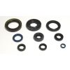 Packning Kit Motor Olja Athena Tätningar – miniatyr 1