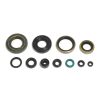 Packning Kit Motor Olja Athena Tätningar – miniatyr 1