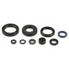 Packning Kit Motor Olja Athena Tätningar – miniatyr 1