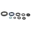 Packning Kit Motor Olja Athena Tätningar – miniatyr 1