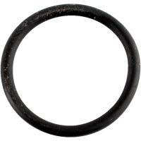 Packning O-ring Kamaxelsensor WSM