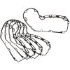 Packningskit Motorkåpa XL Evolution Motors COMETIC GASKET – miniatyr 1