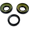Packningssats Differential Seal Kit EPI – miniatyr 1