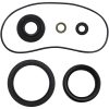 Packningssats Differential Seal Kit MOOSE RACING – miniatyr 1
