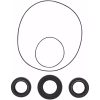 Packningssats Differential Seal Kit MOOSE RACING – miniatyr 2