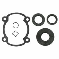 Packningssats komplett 250 FC Sno-X