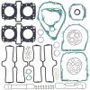 Packningssats Motor Komplett CENTAURO – miniatyr 1