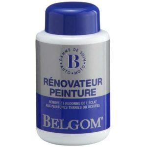 Paint Renovator - 250ml Bottle BELGOM