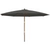 Parasoll med trästång 400x273 cm antracit vidaXL – miniatyr 2