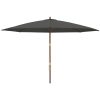 Parasoll med trästång 400x273 cm antracit vidaXL – miniatyr 3