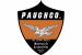 PAUGHCO logotyp