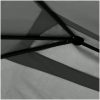 Paviljong 3x6x2,6 m antracit 160 g/m² vidaXL 2.98 x 5.3 x 2.59 m – miniatyr 3