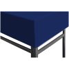 Paviljongtak 310 g/m² blå vidaXL 3 x 3 m – miniatyr 3