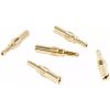 Pilotmunstycke Guld Wiseco – miniatyr 2