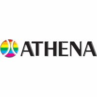 Piston kit ⌀53,95 Athena