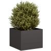 Planteringskärl svart stål vidaXL 40 x 40 x 30 cm – miniatyr 1