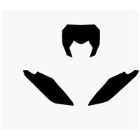 Plate Stickers Black Fantic XX Blackbird Racing