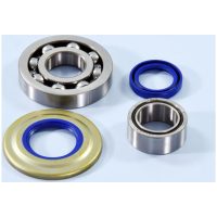POLINI Bearing Kit For Crankshaft