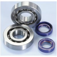 POLINI Crankshaft Bearing Kit