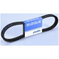 POLINI Double-Side-Teeth Variator belt