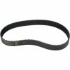 Primärrem Ribbed BELT DRIVES LTD. – miniatyr 1