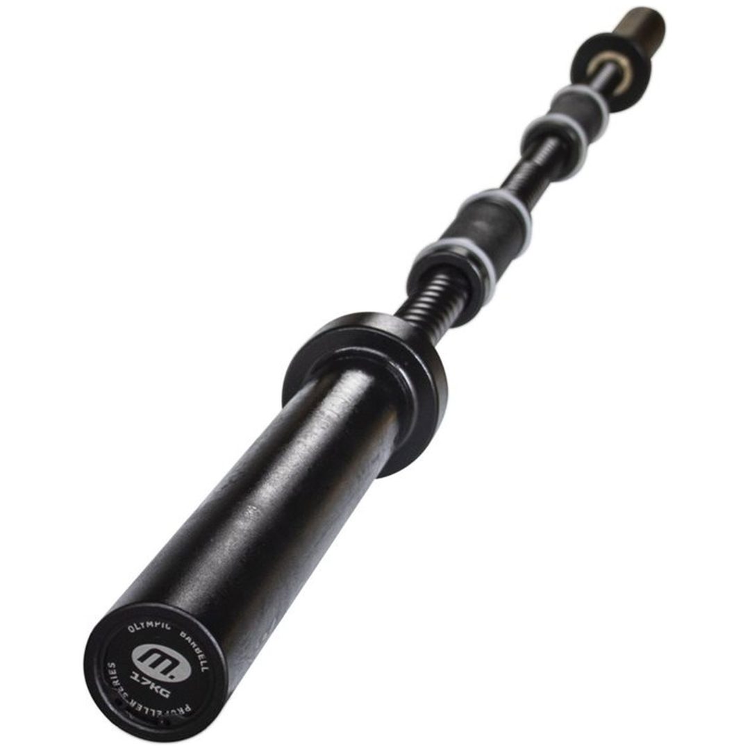 Propeller bar 180 Master Fitness 17 kg