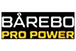 PROPOWER logotyp