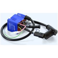 PVL Stator Programmable Coil POLINI
