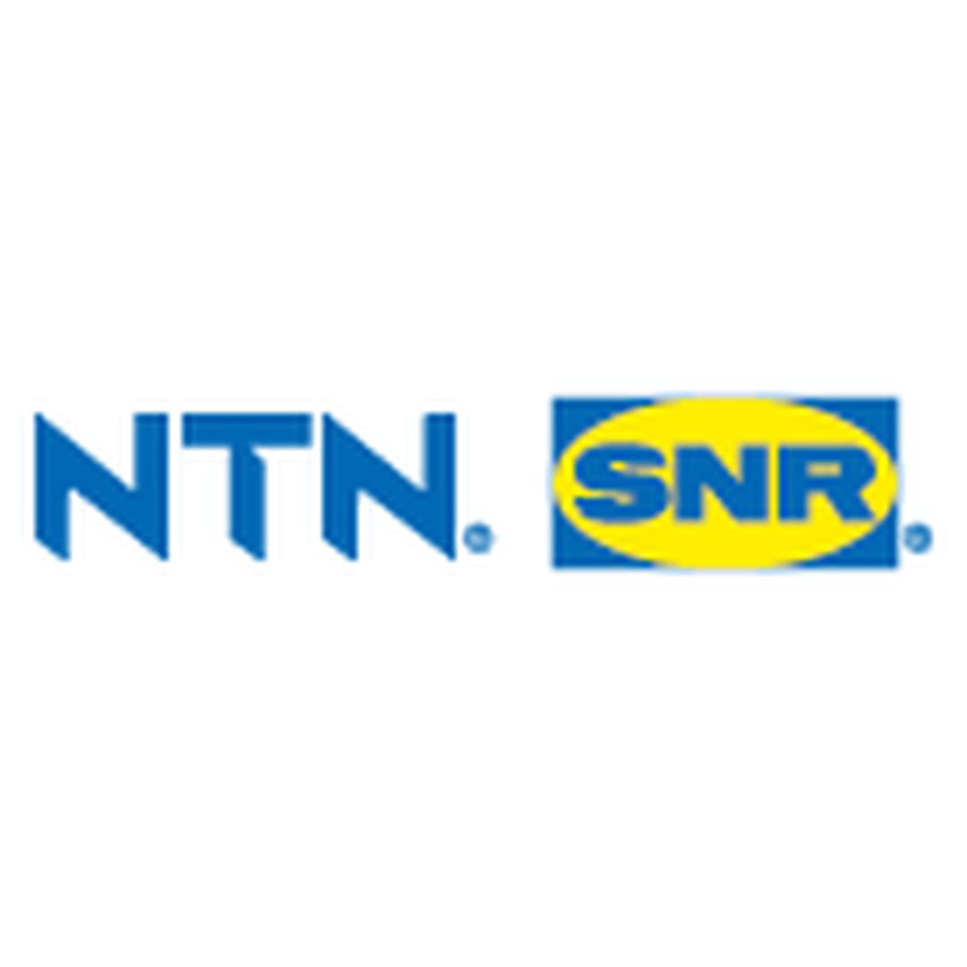 Ramlager NTN