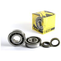 Ramlager & Seal Kit RM250 05-12