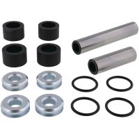 REAR INDEPENDENT SUSP KNUCKLE KIT POL