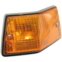 Rear Left Indicator