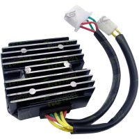 REC-REG HS SERIES LITH COMP SUZUKI DL100 02-11