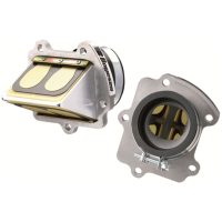 Reedventil RAD VALVES BOYESEN