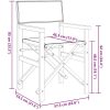 Regissörsstolar 2 st grå massiv teak vidaXL – miniatyr 9