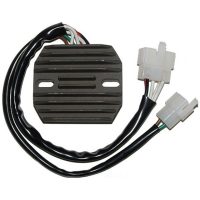 Regulator 350 ELECTROSPORT