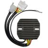 Regulator 770 ELECTROSPORT – miniatyr 1