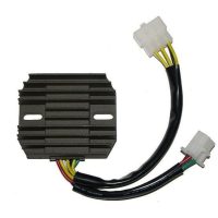 Regulator ELECTROSPORT