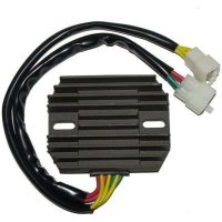 Regulator ELECTROSPORT