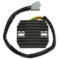 Regulator ELECTROSPORT