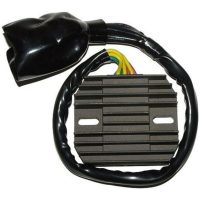 Regulator ELECTROSPORT